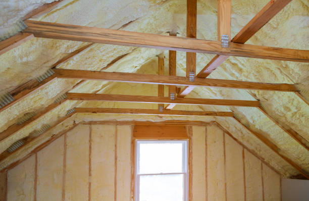 Best Residential Insulation in Falcon Heights, MN