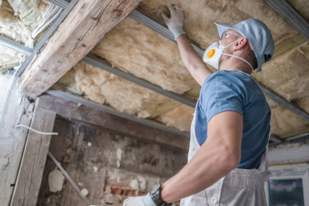 Best Geographic-Specific Insulation Services in Falcon Heights, MN