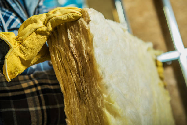 Best Fiberglass Insulation in Falcon Heights, MN
