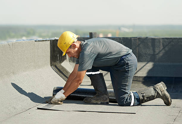 Best Spray Foam Insulation in Falcon Heights, MN