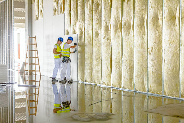 Best Energy Efficiency Insulation in Falcon Heights, MN